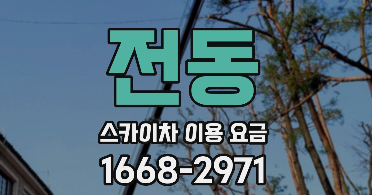 전동 스카이차 이용 요금