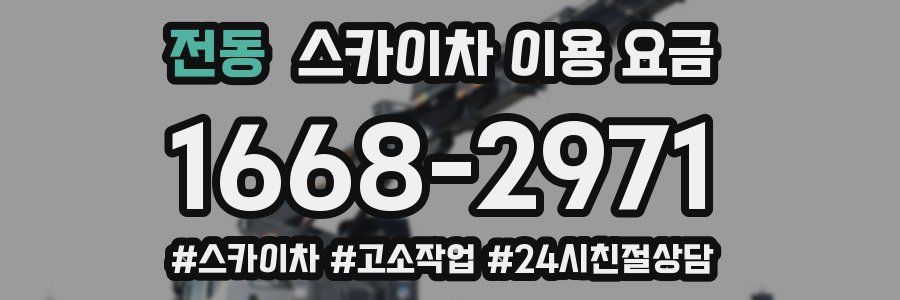 전동 스카이차 이용 요금