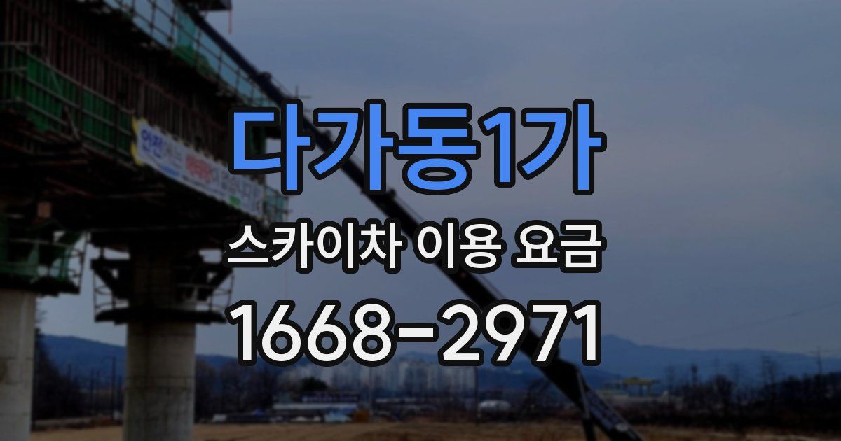 다가동1가 스카이차 이용 요금