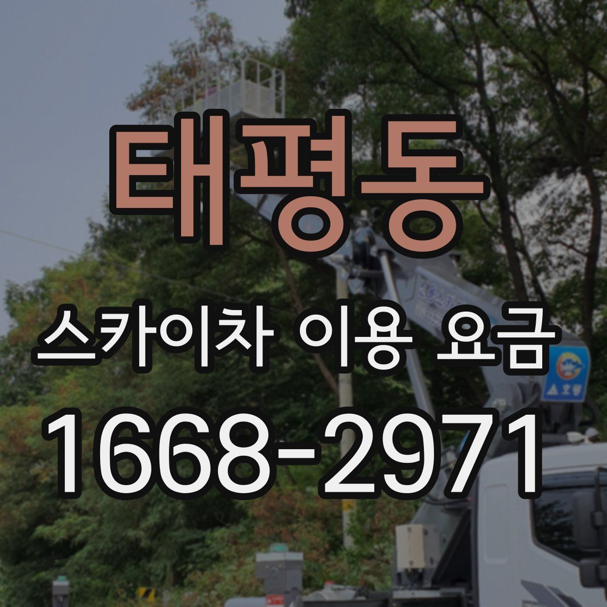 태평동 스카이차 이용 요금