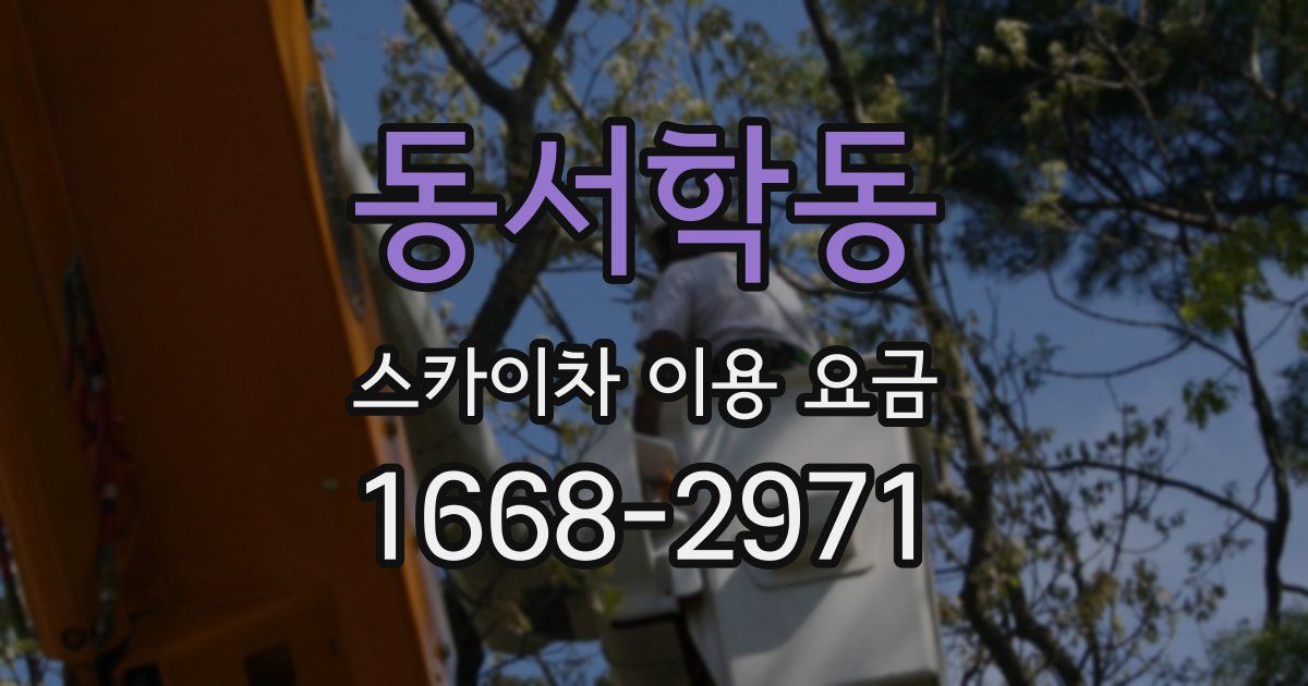 동서학동 스카이차 이용 요금