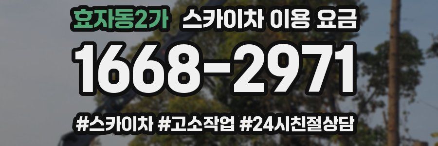 효자동2가 스카이차 이용 요금