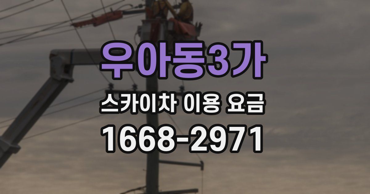 우아동3가 스카이차 이용 요금