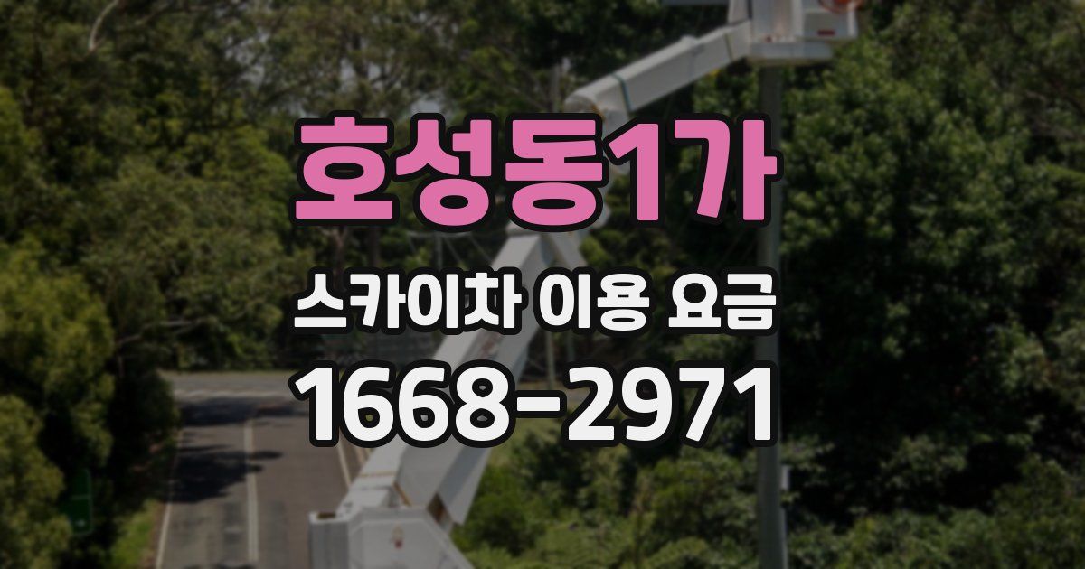 호성동1가 스카이차 이용 요금