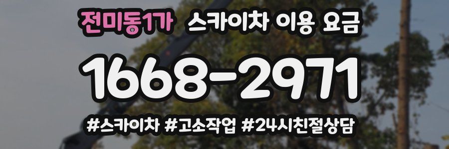 전미동1가 스카이차 이용 요금