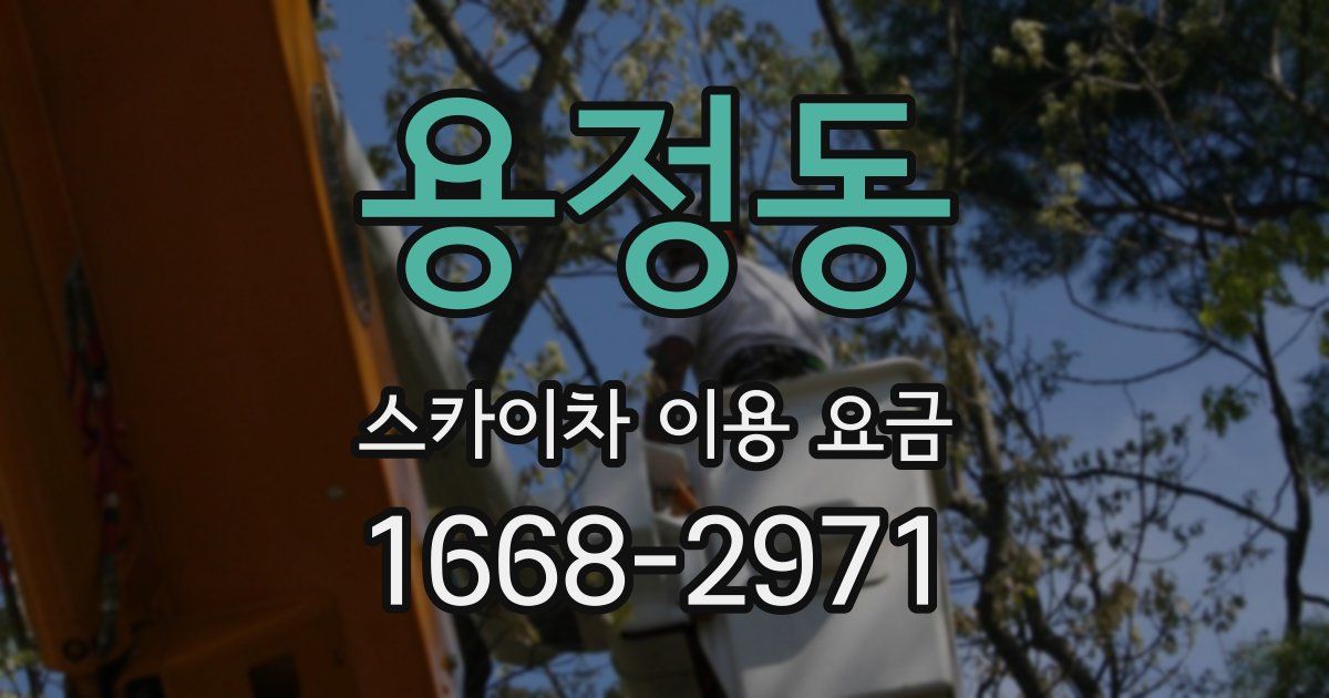 용정동 스카이차 이용 요금