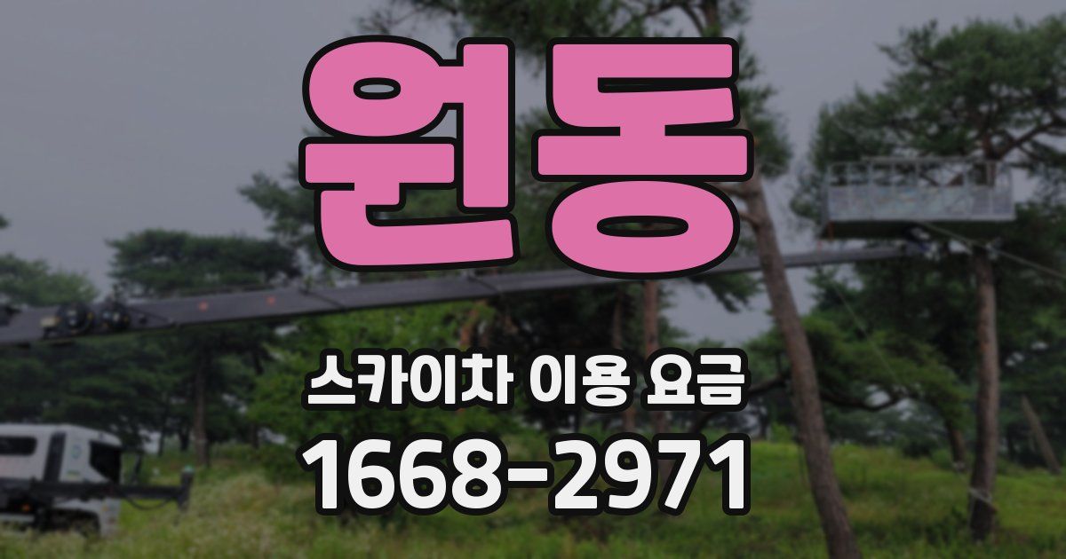 원동 스카이차 이용 요금