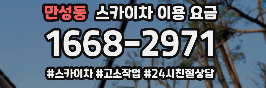 만성동 스카이차 이용 요금