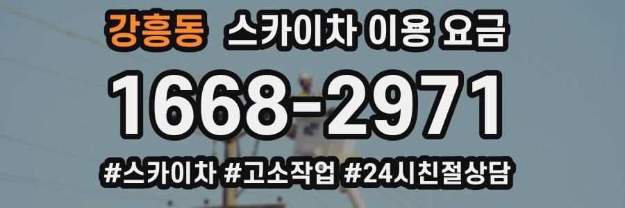 강흥동 스카이차 이용 요금