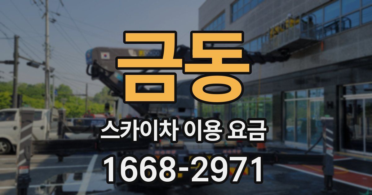 금동 스카이차 이용 요금