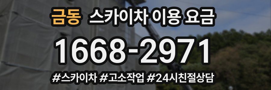 금동 스카이차 이용 요금
