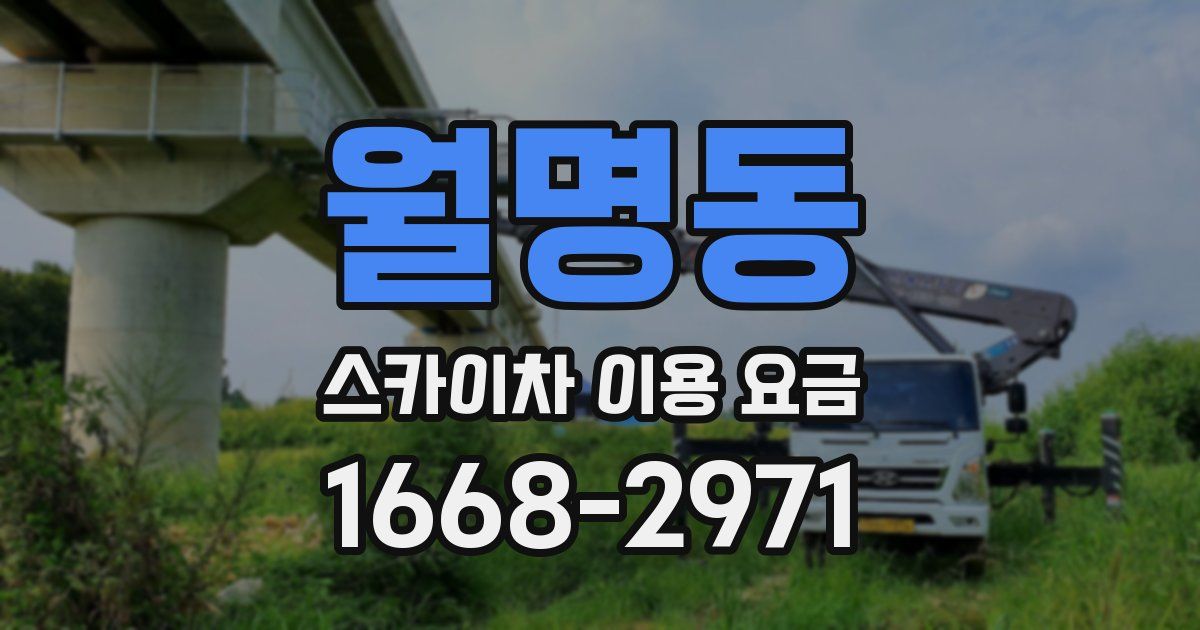월명동 스카이차 이용 요금