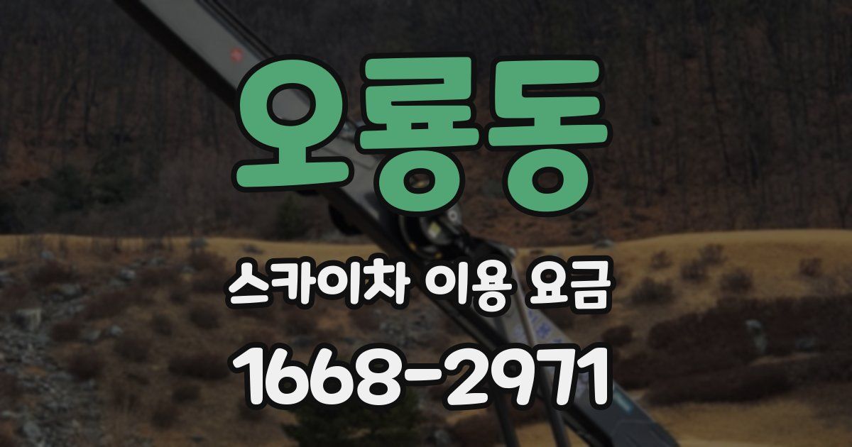 오룡동 스카이차 이용 요금