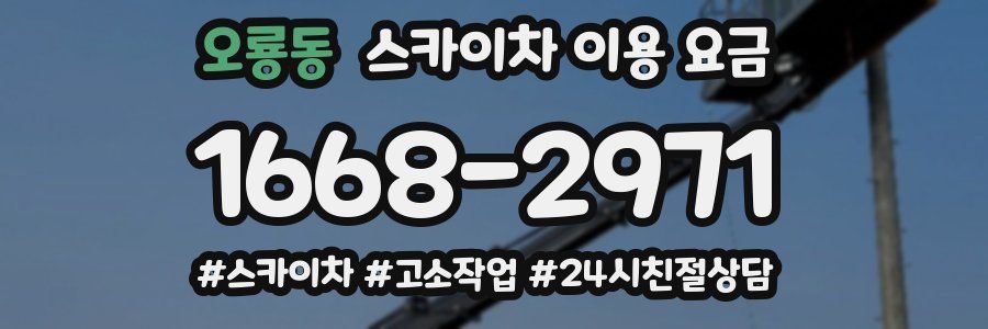 오룡동 스카이차 이용 요금