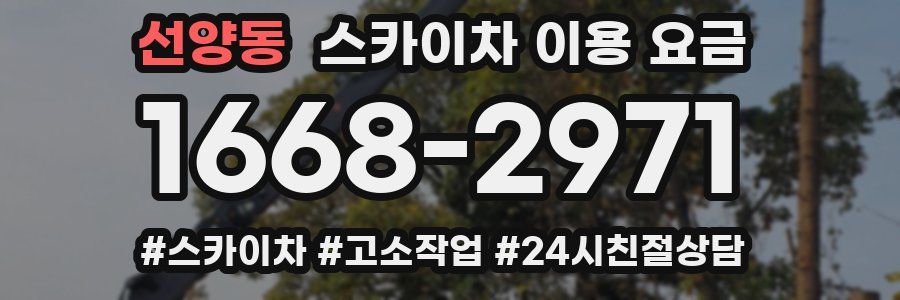 선양동 스카이차 이용 요금