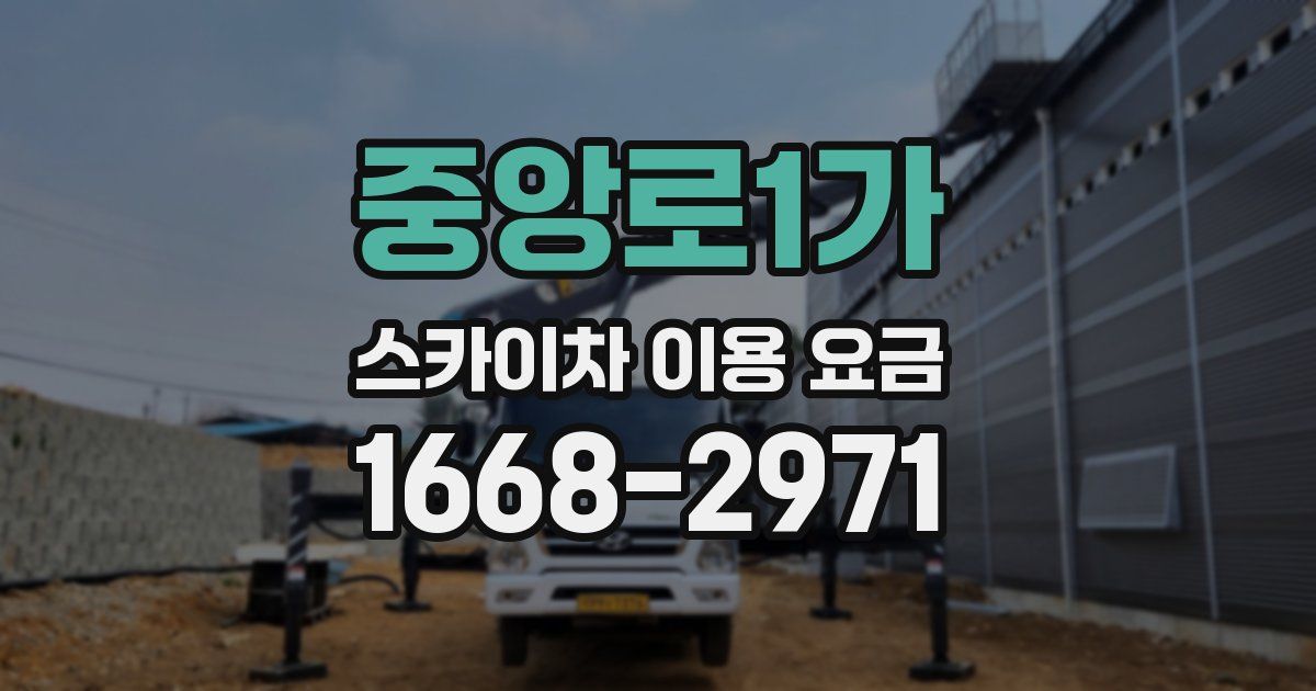 중앙로1가 스카이차 이용 요금