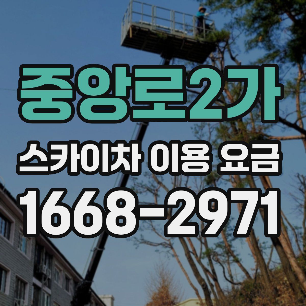 중앙로2가 스카이차 이용 요금