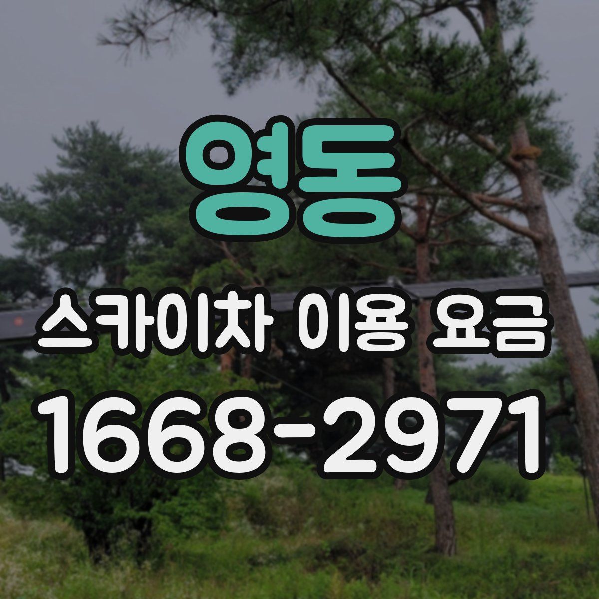 영동 스카이차 이용 요금