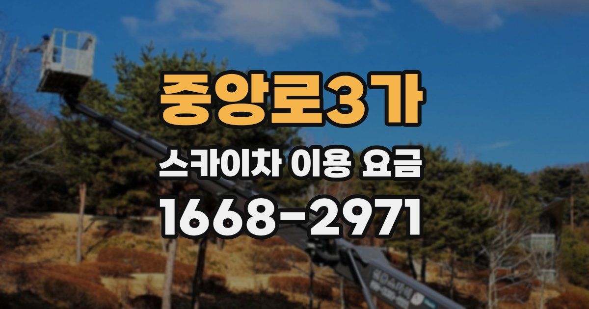 중앙로3가 스카이차 이용 요금