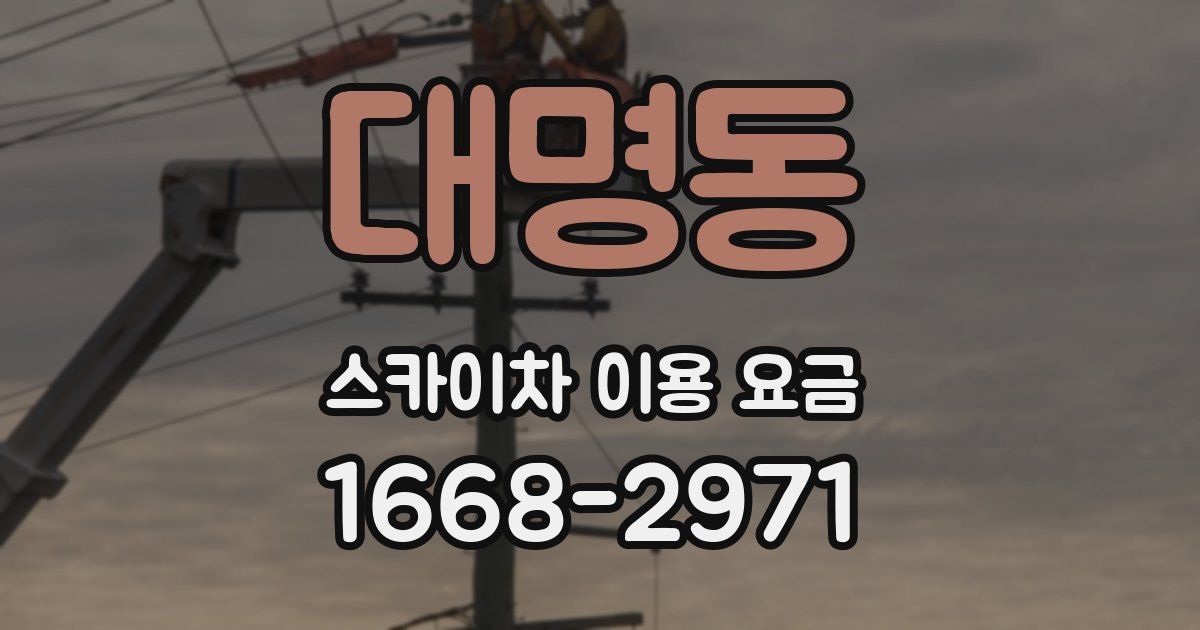 대명동 스카이차 이용 요금