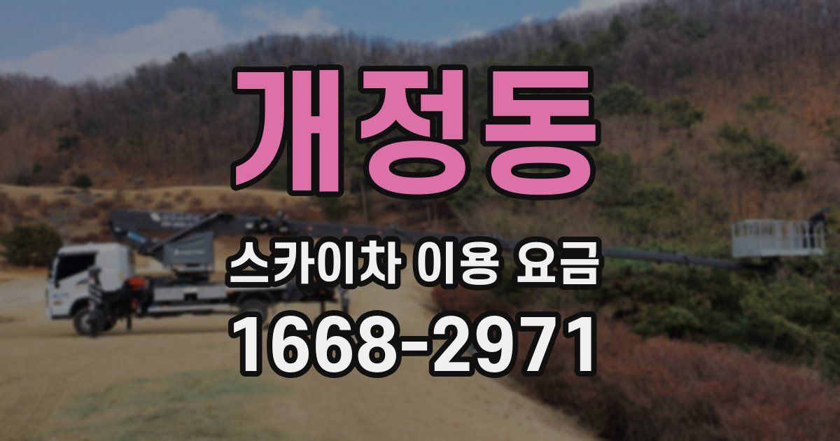 개정동 스카이차 이용 요금