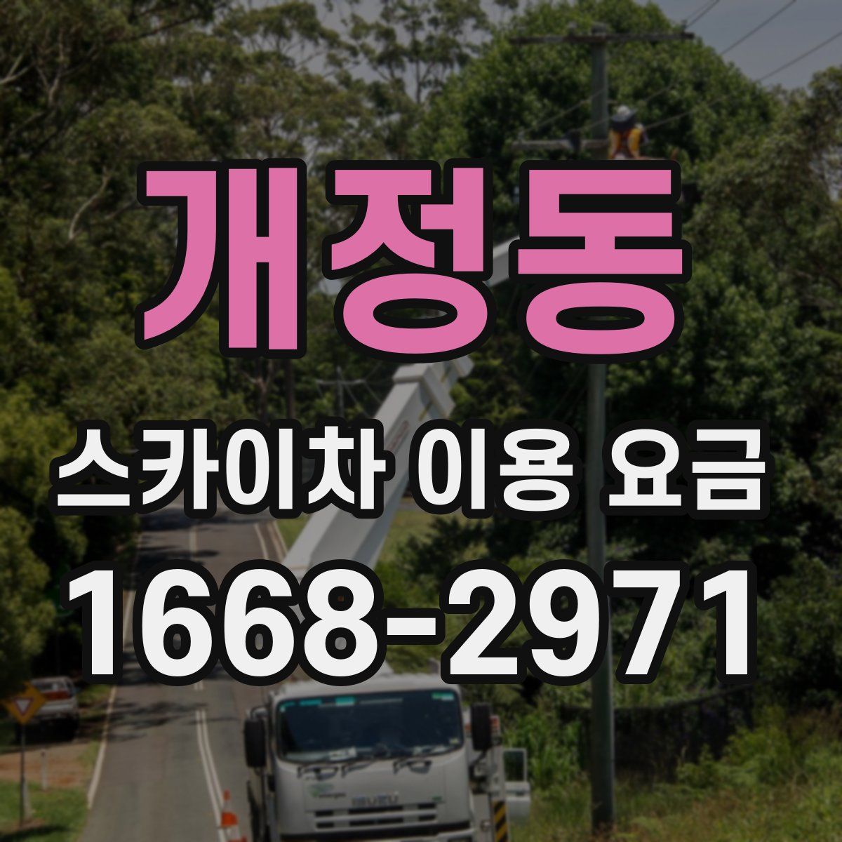개정동 스카이차 이용 요금