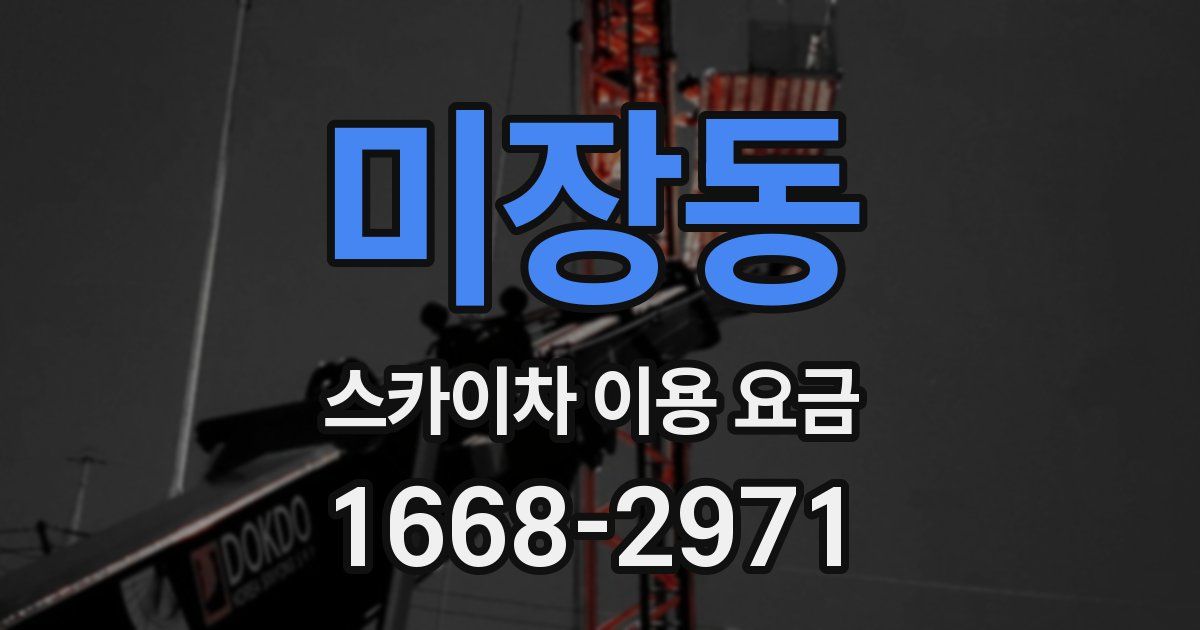 미장동 스카이차 이용 요금