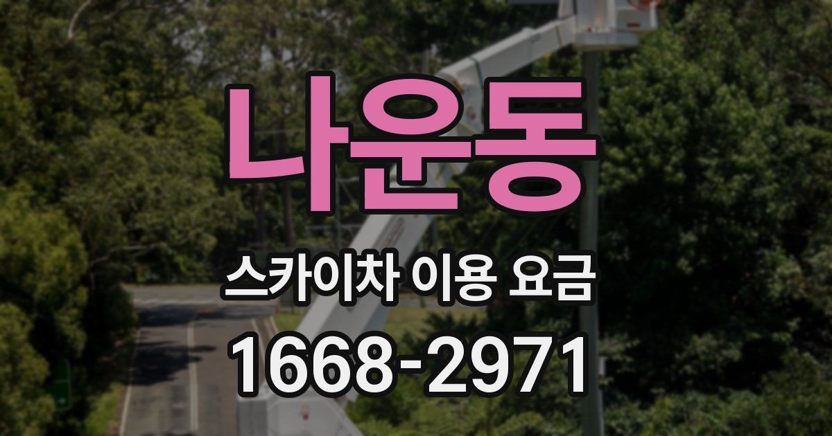 나운동 스카이차 이용 요금