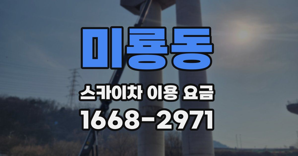 미룡동 스카이차 이용 요금