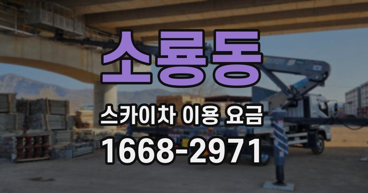 소룡동 스카이차 이용 요금