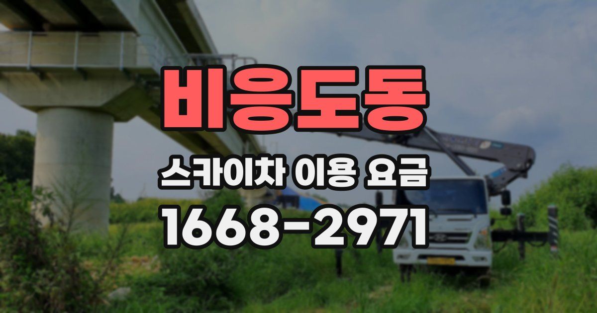 비응도동 스카이차 이용 요금