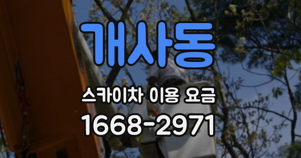 개사동 스카이차 이용 요금