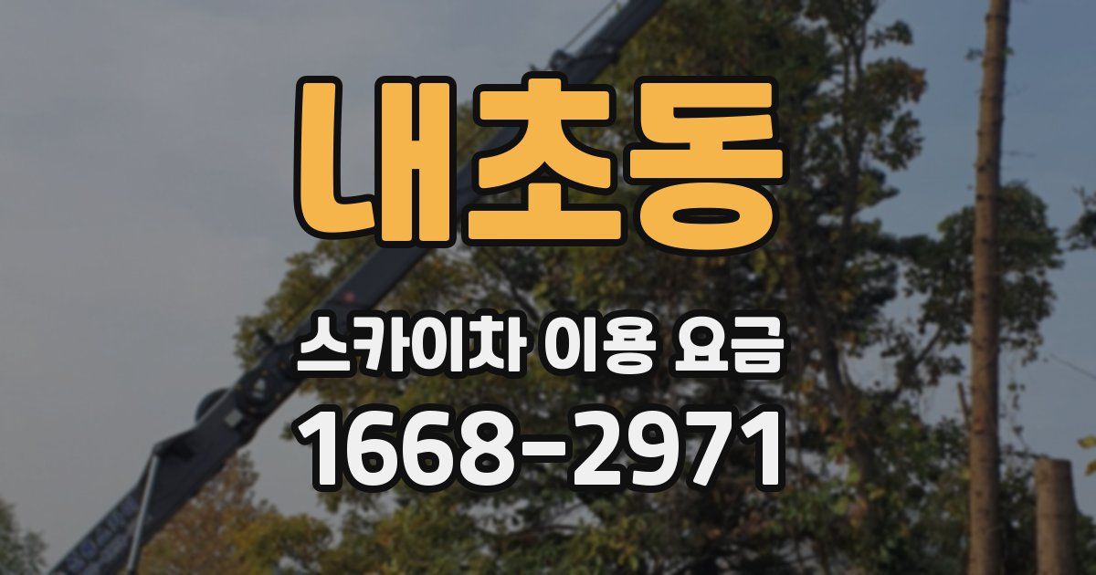 내초동 스카이차 이용 요금