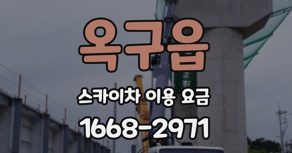 옥구읍 스카이차 이용 요금