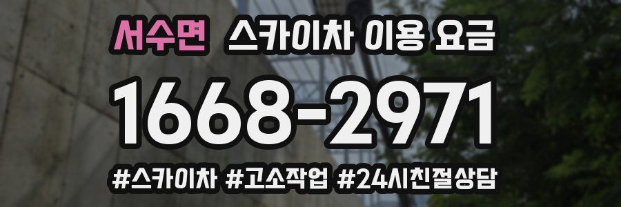 서수면 스카이차 이용 요금