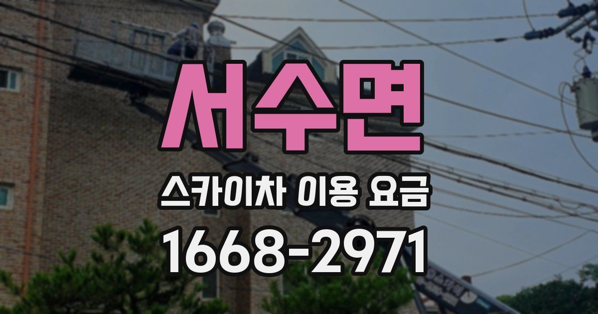 서수면 스카이차 이용 요금