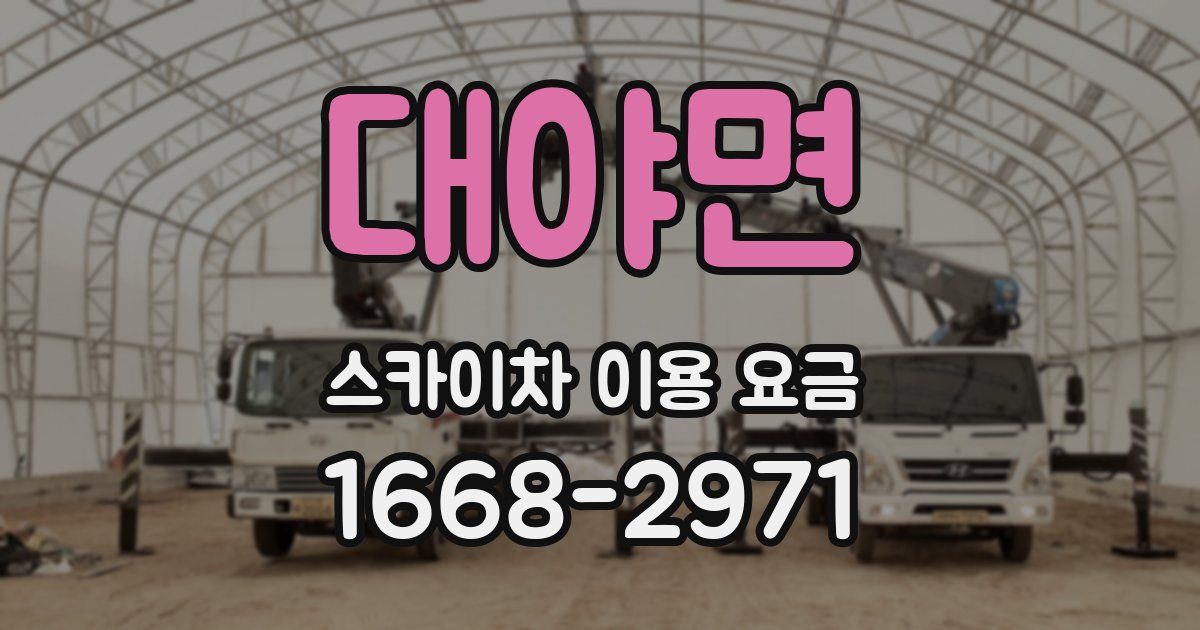 대야면 스카이차 이용 요금