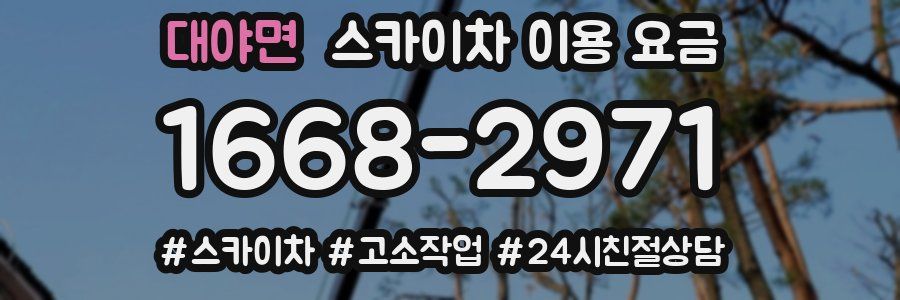 대야면 스카이차 이용 요금