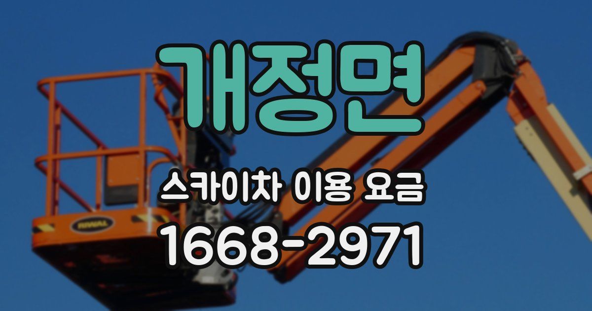 개정면 스카이차 이용 요금