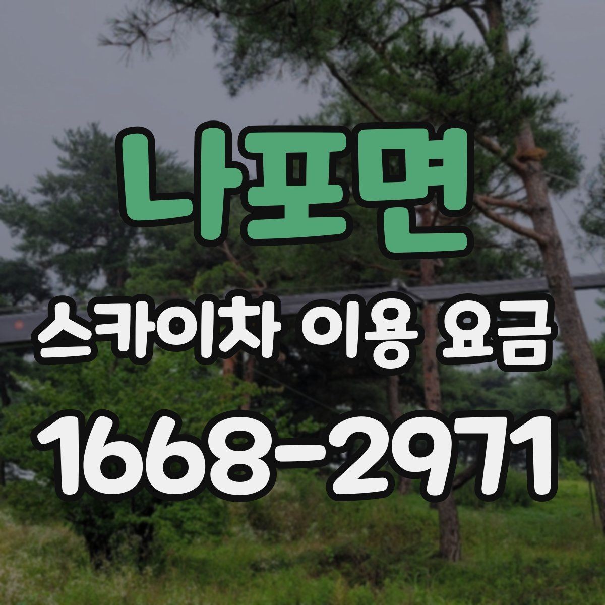 나포면 스카이차 이용 요금 확인할 때 알아두면 편한 점