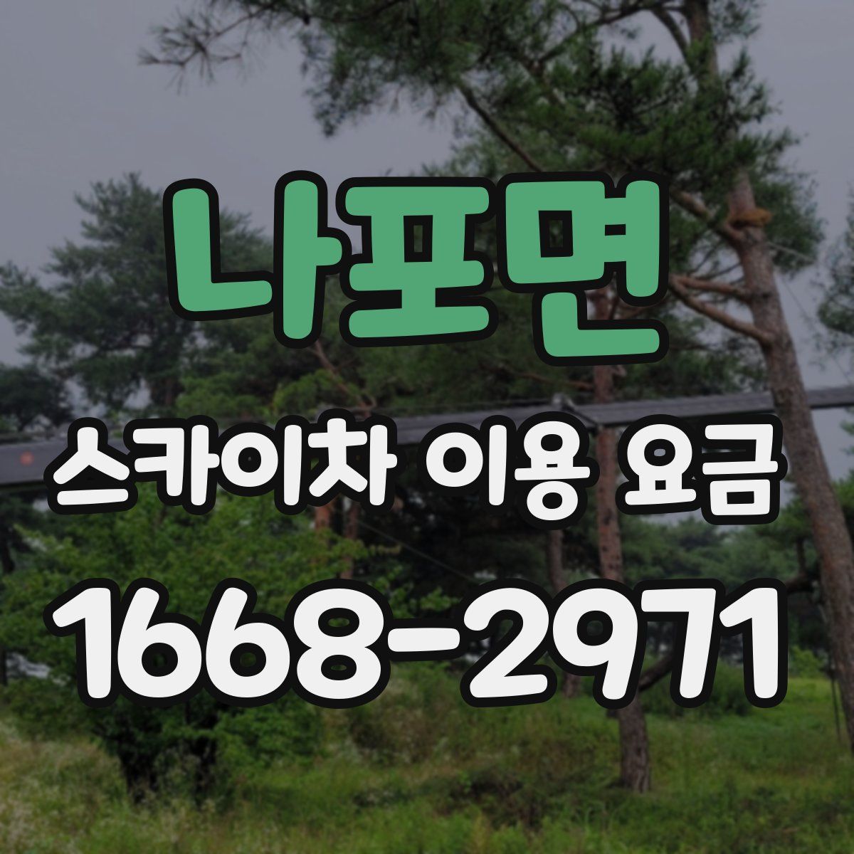 나포면 스카이차 이용 요금