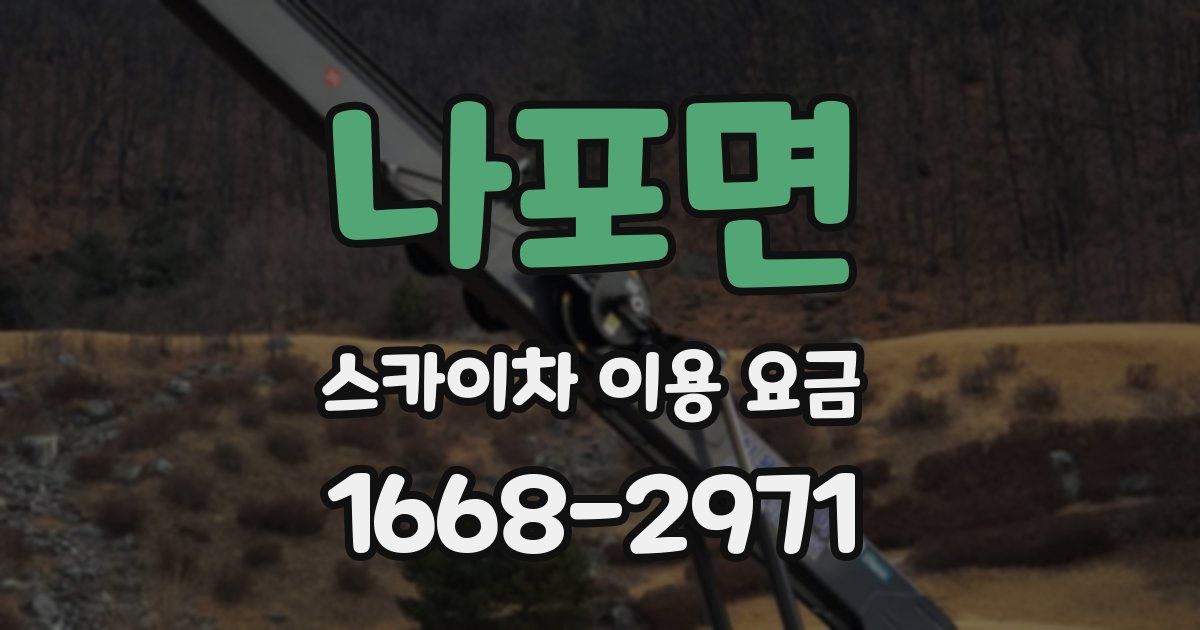 나포면 스카이차 이용 요금