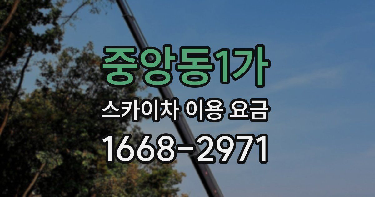 중앙동1가 스카이차 이용 요금