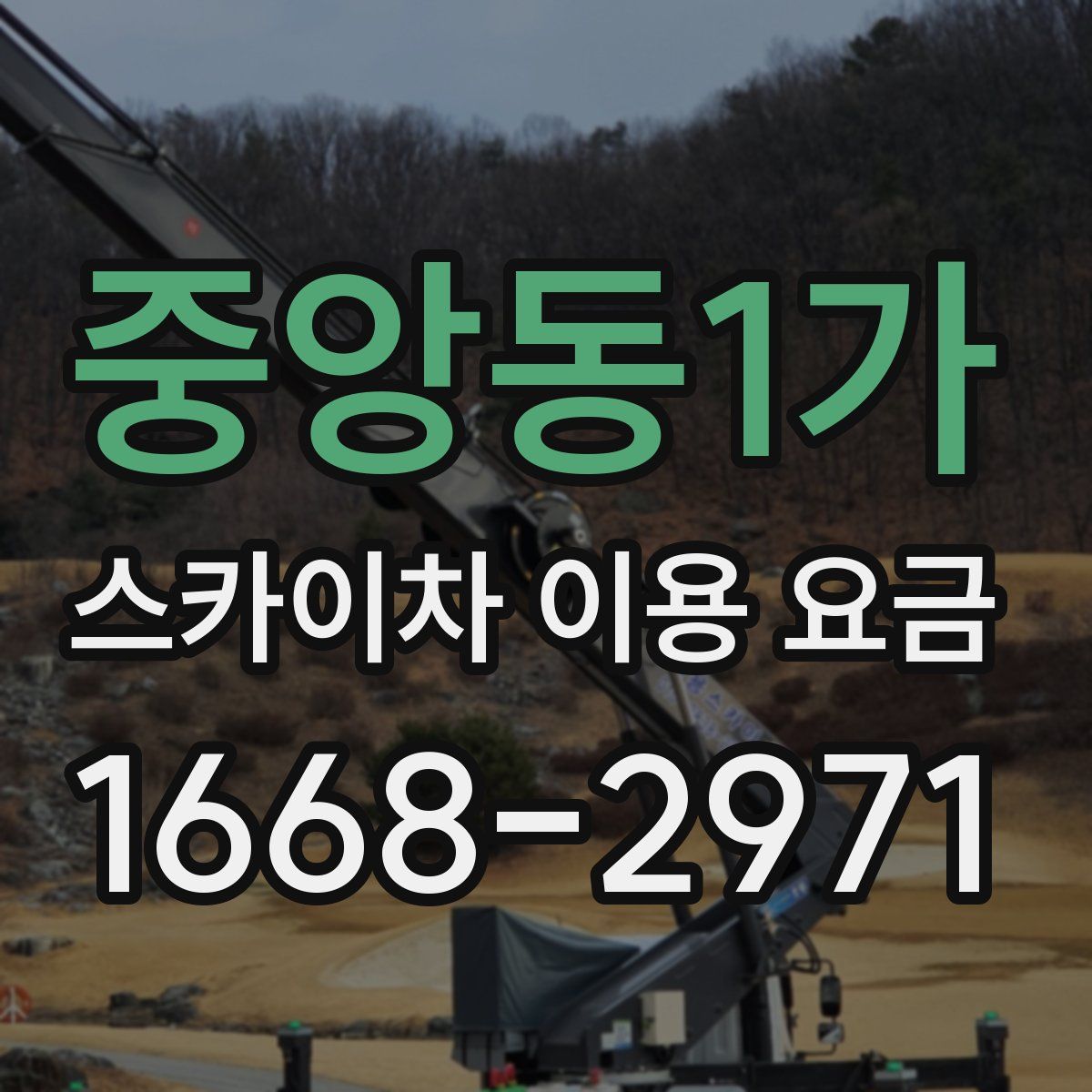 중앙동1가 스카이차 이용 요금