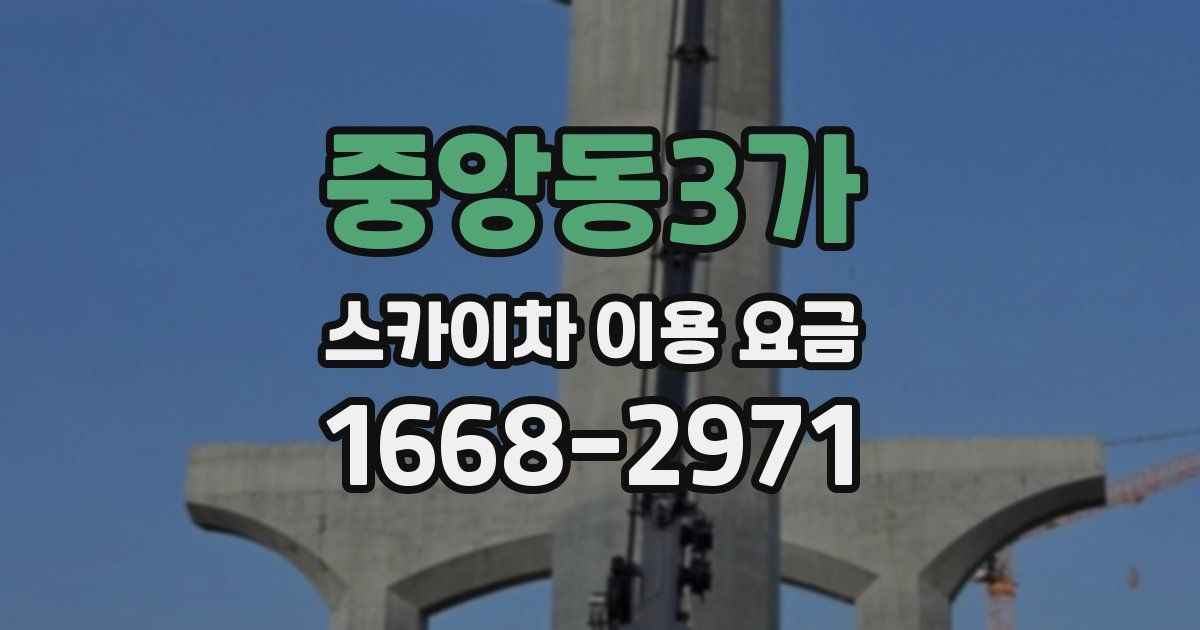 중앙동3가 스카이차 이용 요금