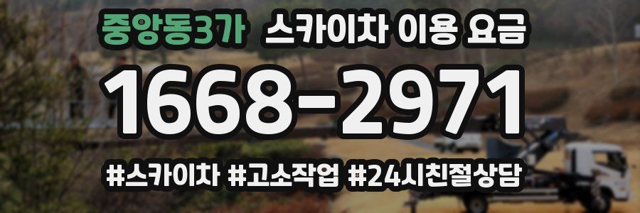 중앙동3가 스카이차 이용 요금