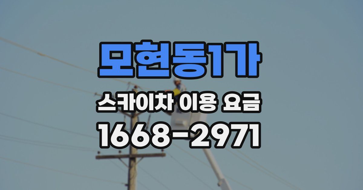모현동1가 스카이차 이용 요금