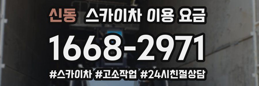 신동 스카이차 이용 요금