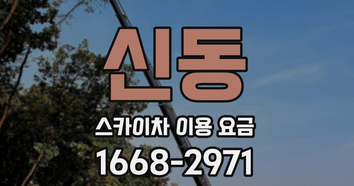 신동 스카이차 이용 요금