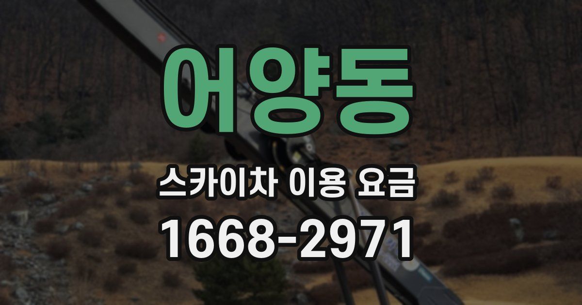 어양동 스카이차 이용 요금